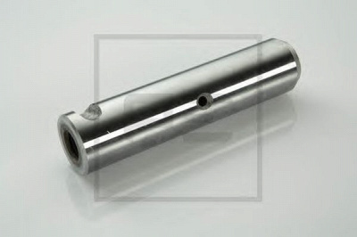 PE AUTOMOTIVE 03404300a -  Палец ушка рессоры